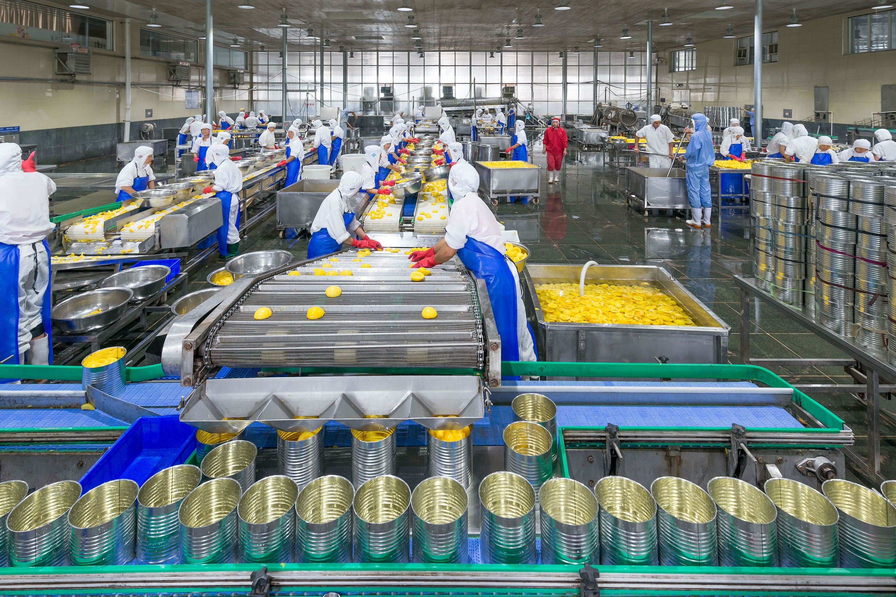 訂單暴漲十倍 山東小鎮(zhèn)生產(chǎn)出全國(guó)三成的黃桃罐頭